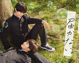 泛页面关键词1732